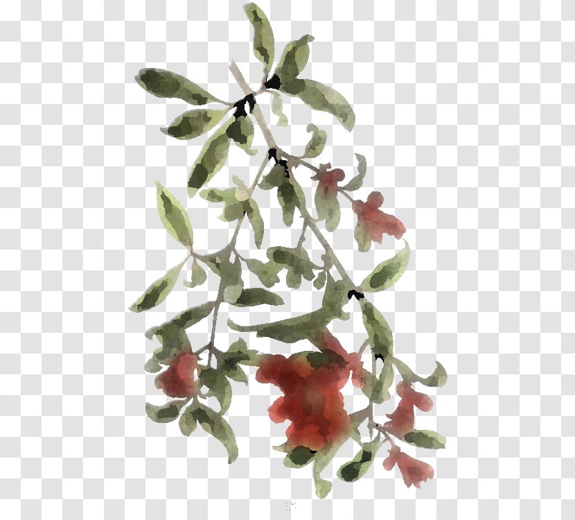 Flower Plant Tree Leaf Branch - Twig - Woody Transparent PNG