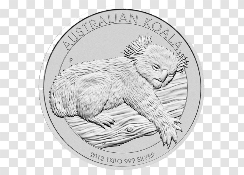 Koala Cartoon - Collecting - Beaver Bear Transparent PNG