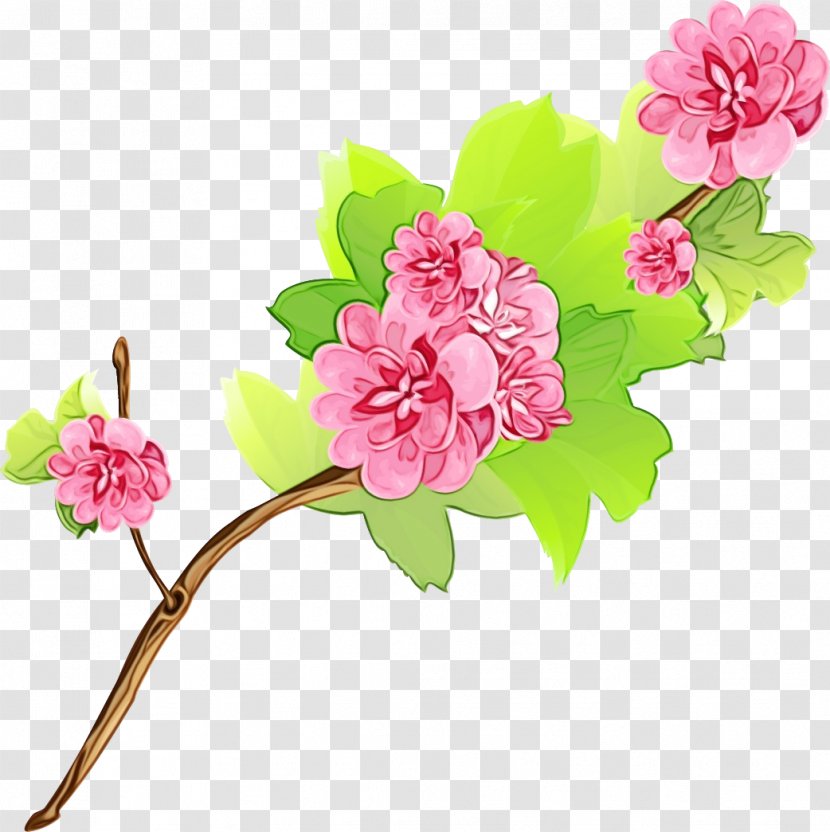 Floral Design Rose Family Blossom Cut Flowers - Pink M - Cherries Transparent PNG