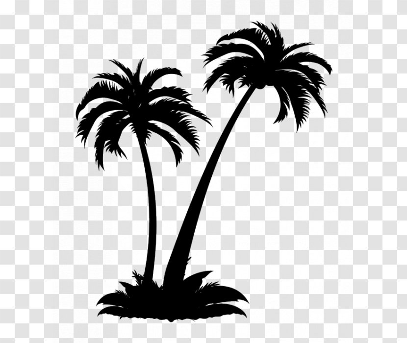 WordCamp US Arecaceae Sticker Wall Decal - Monochrome Photography - Coconut Jelly Transparent PNG