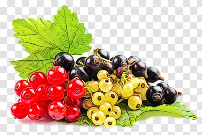Natural Foods Fruit Berry Food Plant - Seedless - Superfood Transparent PNG
