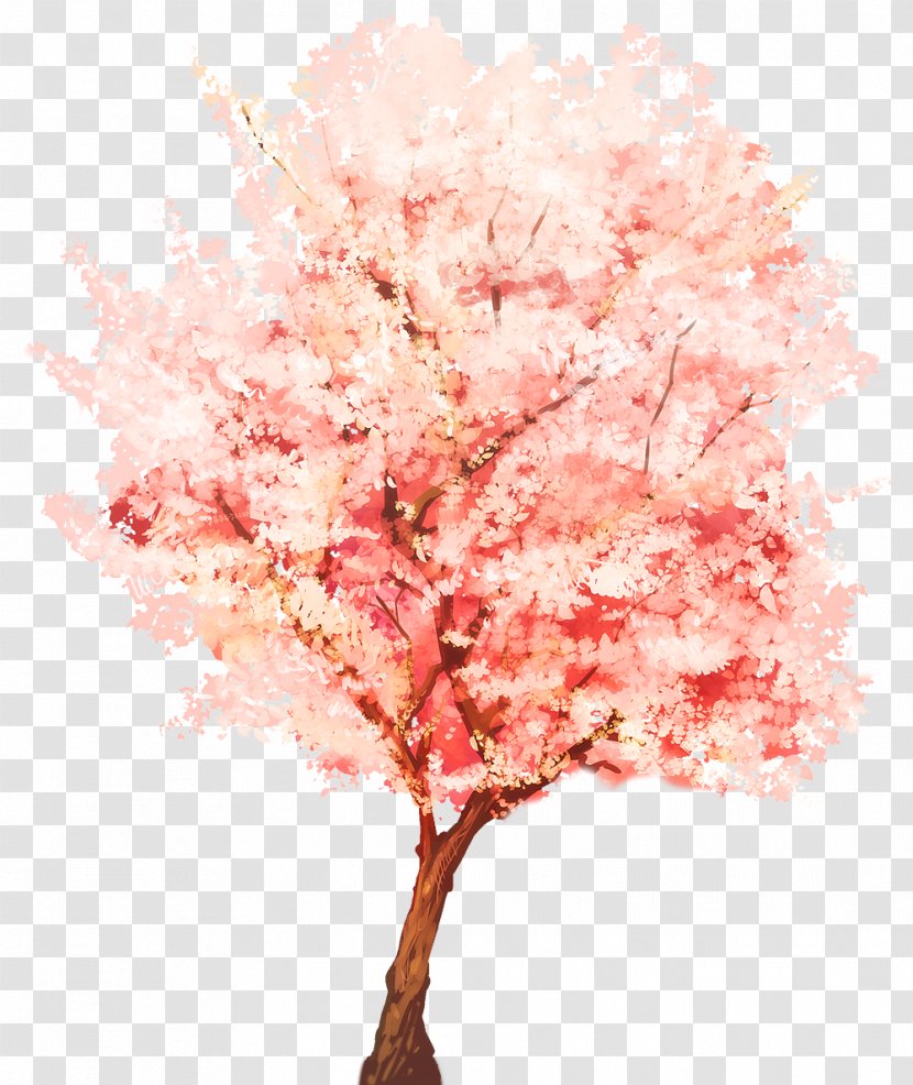 Tree SketchUp Plant Webtoon Watercolor Painting - Sketchup - Cherry Blossom Transparent PNG