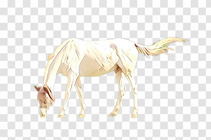 Unicorn Transparent PNG