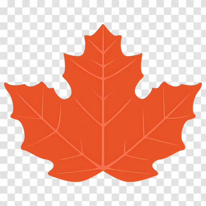 Maple Leaf Autumn Leaf Fall Leaf Transparent PNG