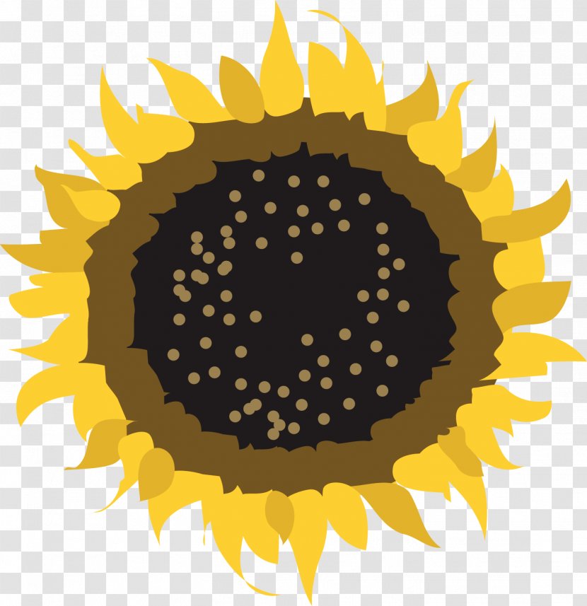 Common Sunflower Pseudanthium Clip Art - Flowering Plant - Sunflowers Transparent PNG