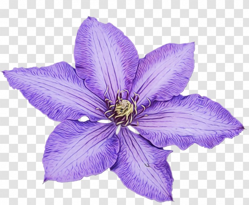 Leather Flower - Violet - Delphinium Transparent PNG