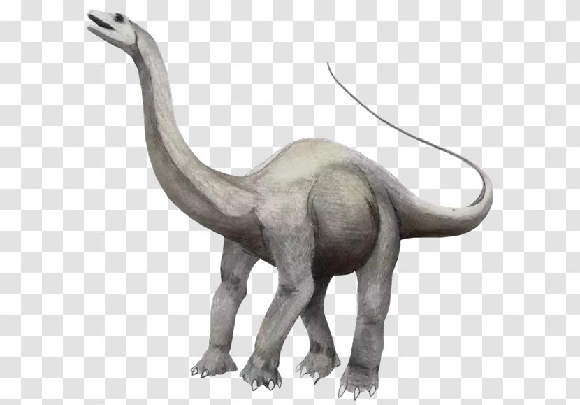 Apatosaurus Brontosaurus We're Back! A Dinosaur's Story Albertosaurus - Cretaceous Transparent PNG