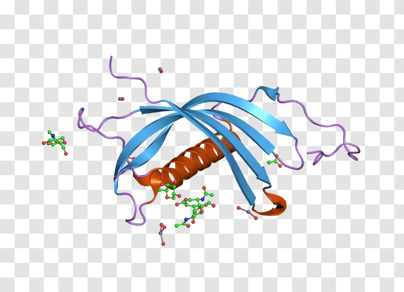 CST7 Cystatin C Protein Gene - Watercolor - Cartoon Transparent PNG