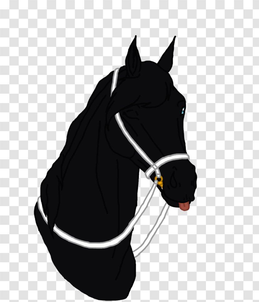 Halter Mustang Mane Pony Stallion - Horse Harnesses Transparent PNG