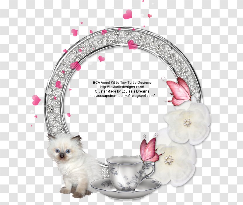 Cat Picture Frames Reality - Flower Transparent PNG