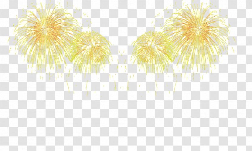 Yellow Petal Pattern - Beautiful Fireworks Transparent PNG