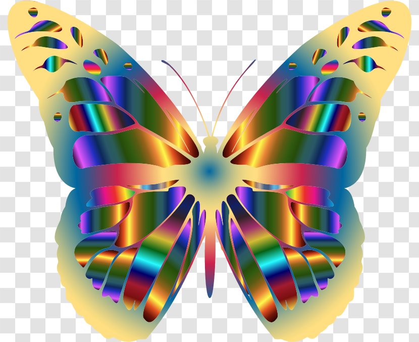Monarch Butterfly Brush-footed Butterflies Insect Pollinator - Iridescence Transparent PNG