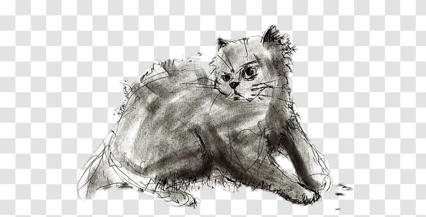 Drawing Line Art Photography Sketch - Snout - Creative Cat Ink Transparent PNG