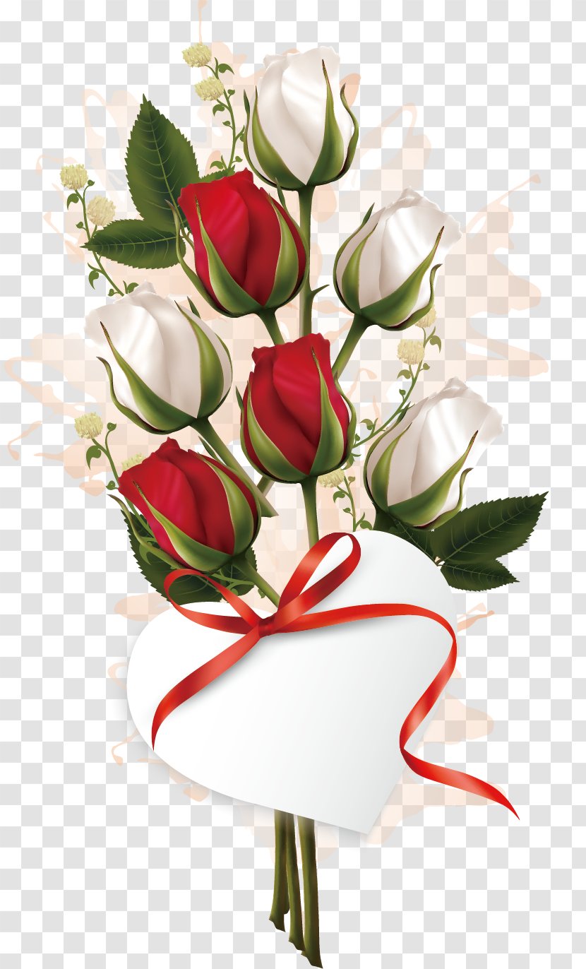 Rose Valentines Day Flower Bouquet - Plant - Vector Sea Transparent PNG