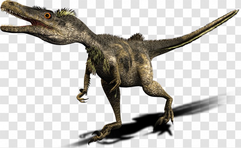 Velociraptor Tyrannosaurus Deinonychus Spinosaurus Carnotaurus - Dinosaur Transparent PNG