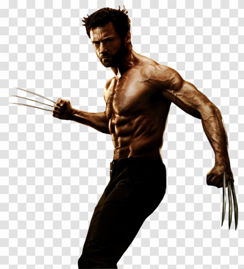 Wolverine Desktop Wallpaper Clip Art - Frame Transparent PNG