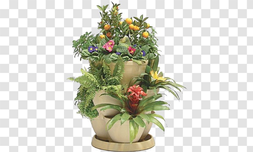 Flowerpot Floral Design Plastic Houseplant - Flower Garden Transparent PNG