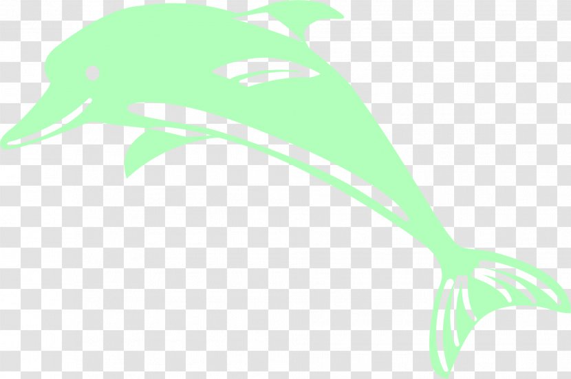 Dolphin - Leaf - Simple Green Transparent PNG