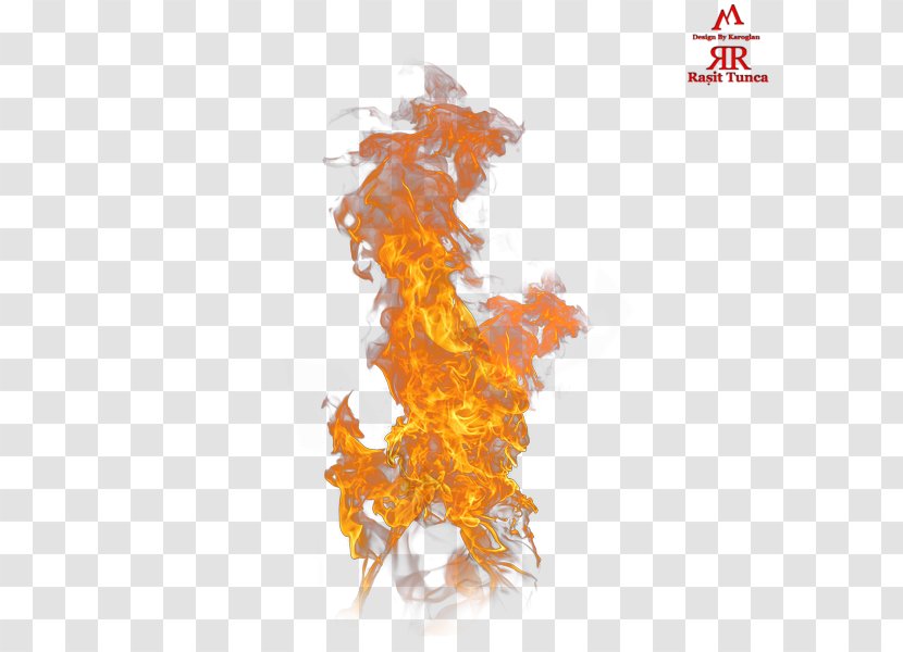 Flame Combustion Fire - Upload Transparent PNG