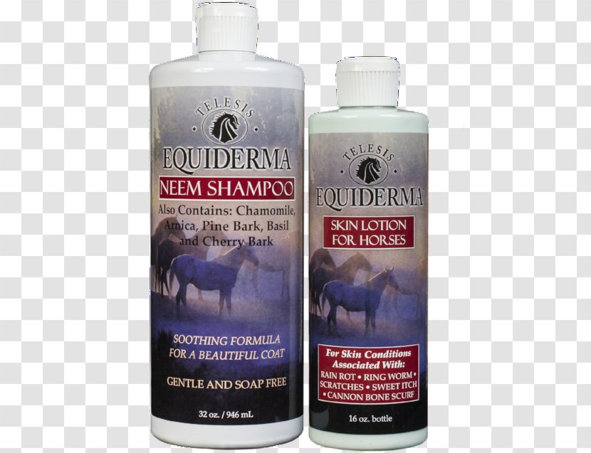 Horse Lotion Shampoo Mane Hair Conditioner Transparent PNG