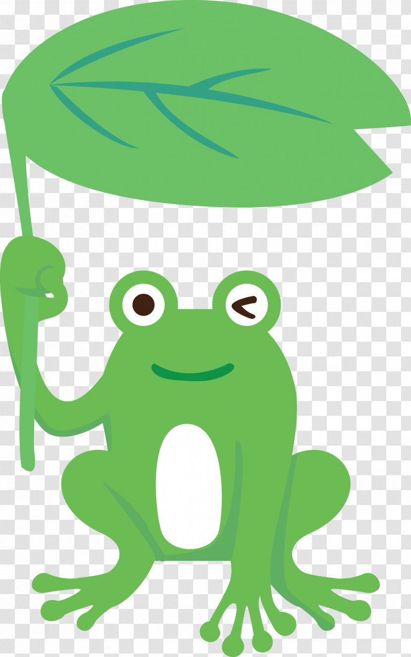 Toad Frogs Tree Frog Cartoon Leaf Transparent PNG