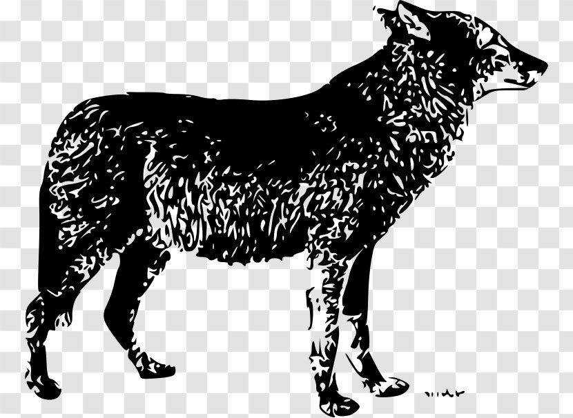 Seppala Siberian Sleddog Australian Cattle Dog Czechoslovakian Wolfdog Saarloos Big Bad Wolf - Gray - Loneto Transparent PNG