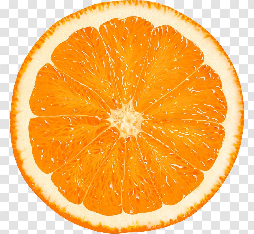 Clip Art Openclipart Clementine Orange Free Content - Fruit Transparent PNG