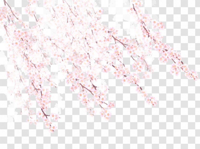 Cherry Blossom Spring Petal Pattern - Blossoms Transparent PNG