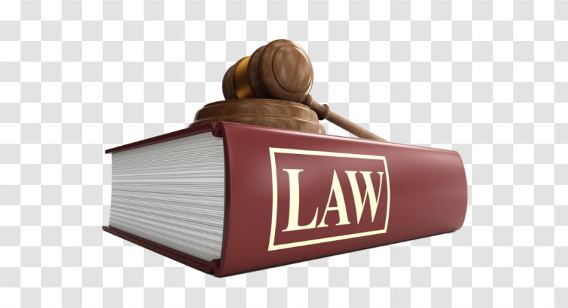 United States Courts Of Appeals Lawyer Uniform Commercial Code - Brand - Team Transparent PNG