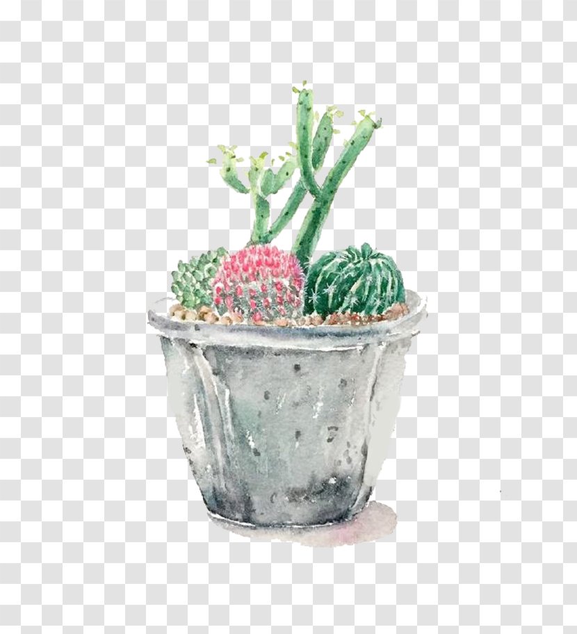 Cactaceae Cartoon Illustration - Cactus - Potted Transparent PNG