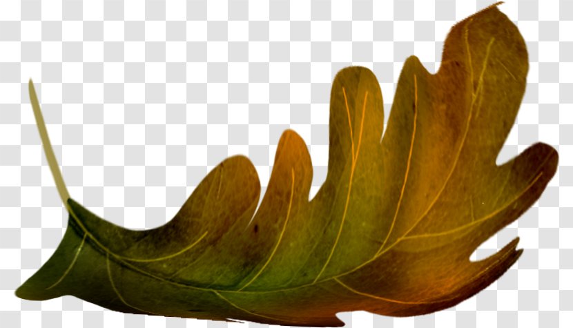Oak Leaf Clip Art Transparent PNG