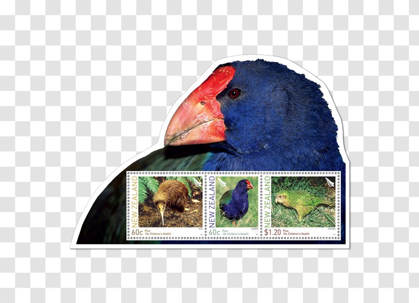 Macaw Advertising Fauna Beak - Cancelled Stamp Transparent PNG