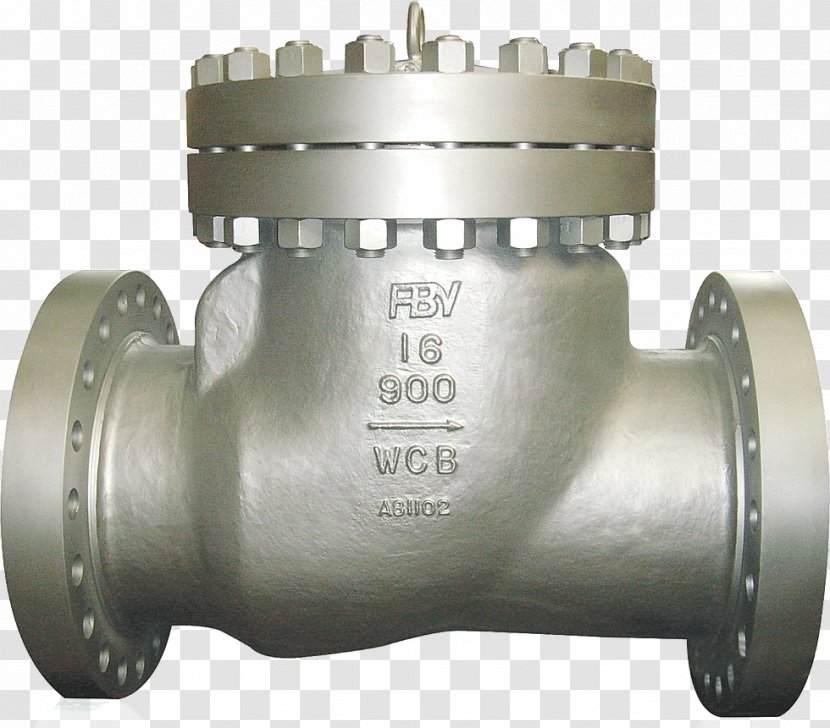 Steel Casting Check Valve Nominal Pipe Size - Duplex Strainers Transparent PNG