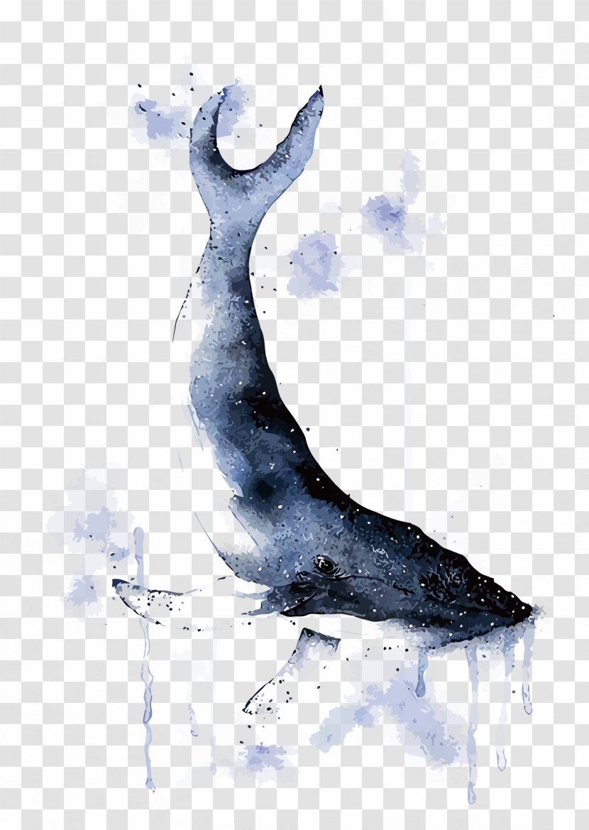 Whale Watercolor Painting Illustration - Fauna - Vector Ink Transparent PNG