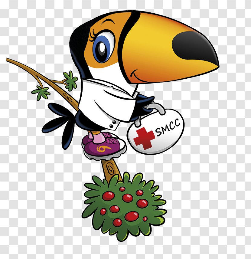 Clip Art Illustration Insect Cartoon Beak - Ladybird - Sede Social Do Clube Transparent PNG