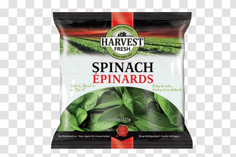 Leaf Vegetable Spinach Salad Creamed - Recipe Transparent PNG