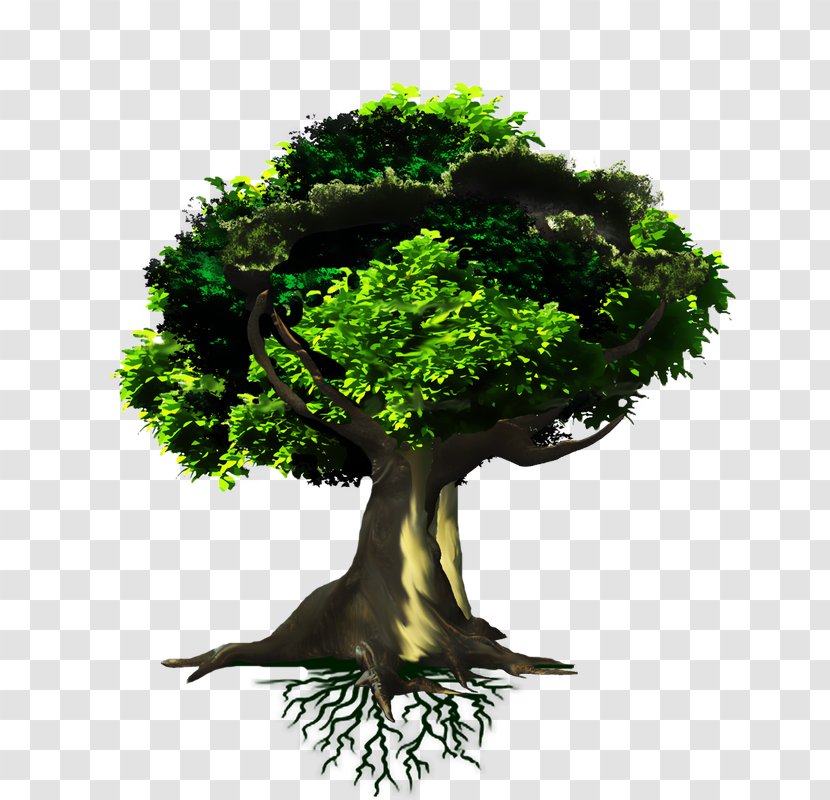 Paper Recycling Deforestation Poster Transparent PNG