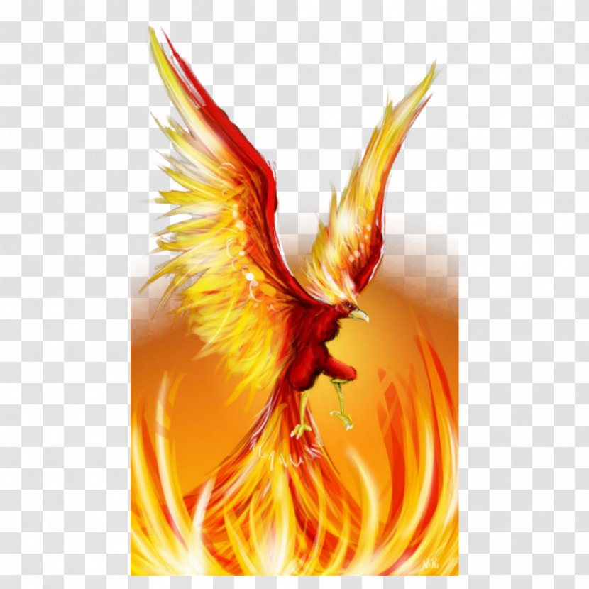 Phoenix Firebird Art Drawing Transparent PNG