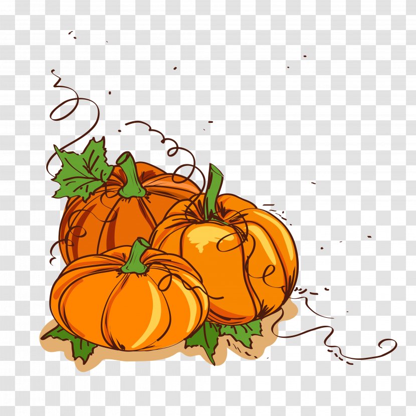 Thanksgiving Dinner Pumpkin Clip Art - Fruit - Painted Vector Illustration Material Transparent PNG