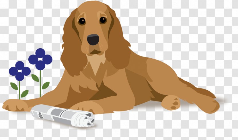 Golden Retriever Puppy Dog Breed Companion Food - Vitamin - Brown Transparent PNG