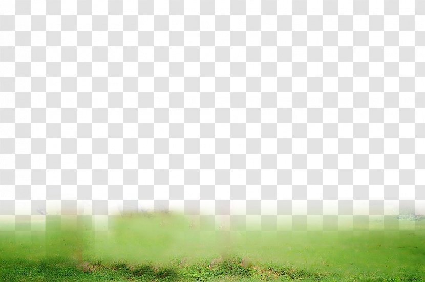PicsArt Photo Studio Editing Lawn Daytime Desktop Wallpaper - Flower - Cb Edit Background Transparent PNG