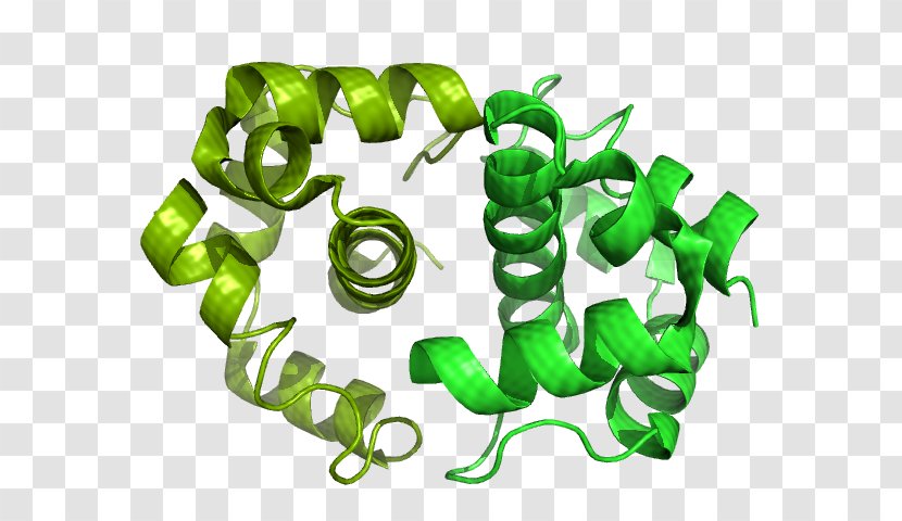 Anti-sigma Factors Biochemistry Transcription E. Coli - Grass - Phases Of Bacterial Growth Transparent PNG