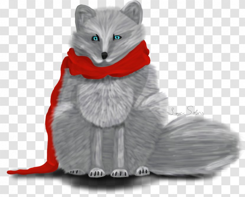 Whiskers Kitten Domestic Short-haired Cat Fur - Carnivoran - Mink Shawls Transparent PNG