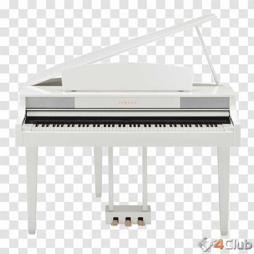 Digital Piano Electronic Keyboard Musical Player Clavinova - Cartoon - Instruments Transparent PNG