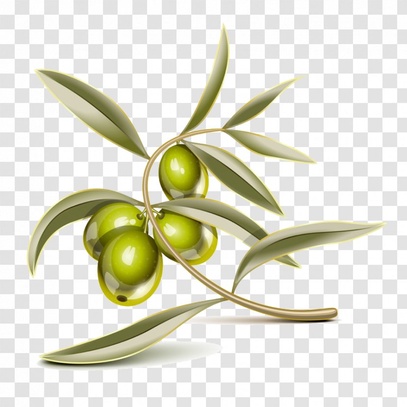Olive Leaf Bresaola Focaccia - Oil Transparent PNG