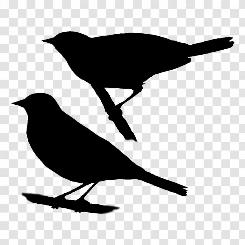 American Crow Beak Sparrows Fauna Silhouette - Crowlike Bird Transparent PNG