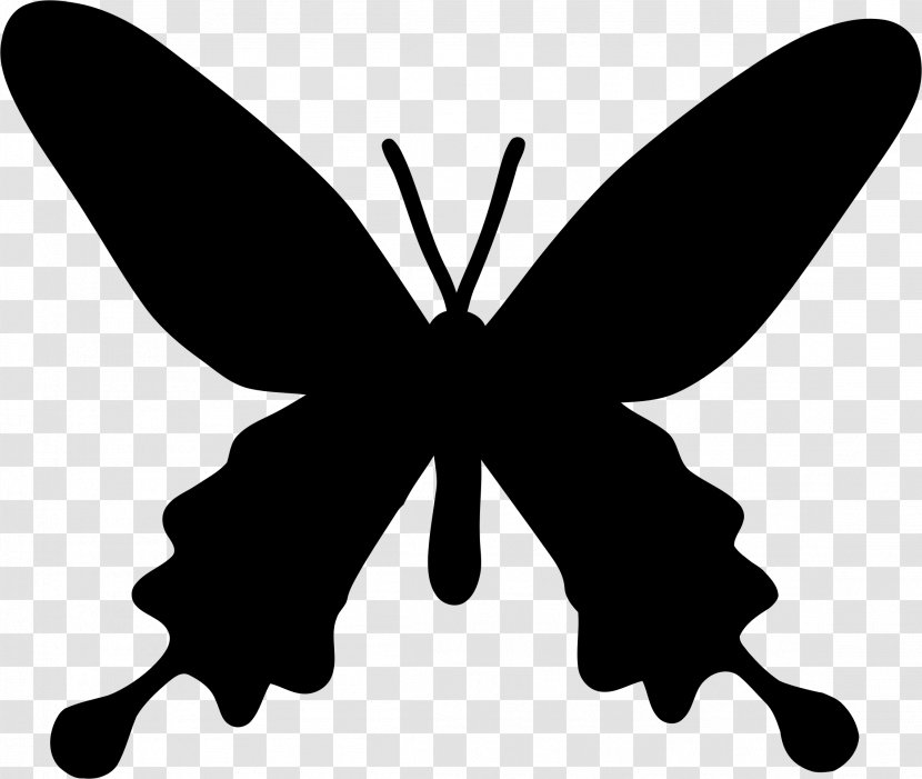 Butterfly Stencil Drawing Silhouette Painting - Arthropod - Butterflay Transparent PNG