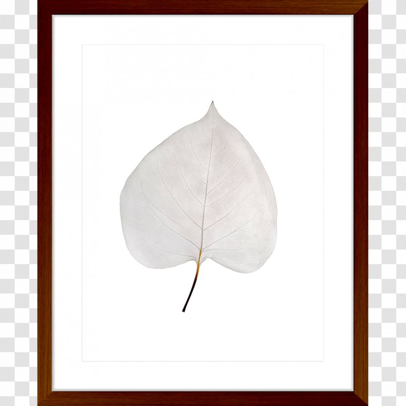 Leaf Petal - Watercolor Transparent PNG