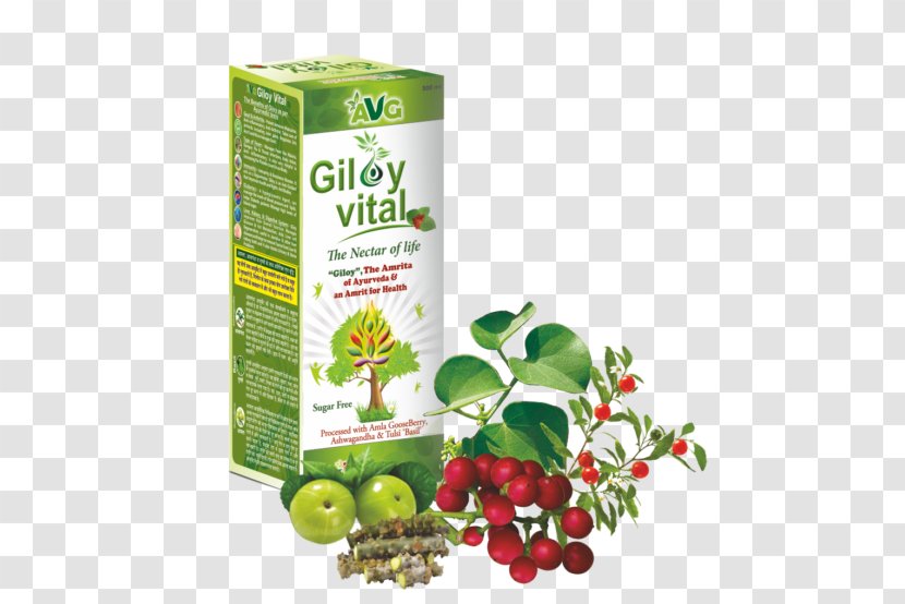 Juice Health Apple Cider Vinegar Medicine Herb - Bioactive Compound Transparent PNG