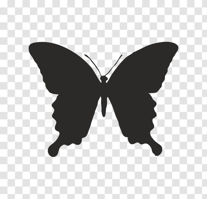 Butterfly Stencil Image Illustration Drawing - Swallowtails Transparent PNG